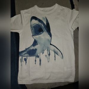 Lot of 14 Boys SS T-shirts